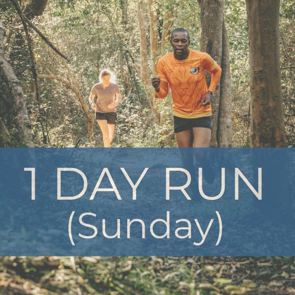 sunday_run_1